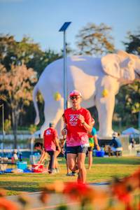 BIB: 
                            <button type="button" onclick="openModal(26183927)" class="btn btn-primary btn-sm float-right btn-popup" data-toggle="modal" data-target=".modal-high-quality">
                        <i class="fas fa-shopping-cart"></i> Add to Cart
                    </button>
                                            <button type="button" onclick="isThisMe(26183927, true)" class="btn btn-success btn-sm float-right btn-popup btn-isme hidden" data-toggle="tooltip" data-placement="bottom" title="นี่คือรูปของคุณใช่ไหม คลิกที่นี่เพื่อเอาเข้าอัลบั้ม">
                        <i class="fas fa-plus"></i> Add to album
                    </button>
                    <button type="button" onclick="isThisMe(26183927, false)" class="btn btn-warning btn-sm float-right btn-popup btn-isnotme hidden">
                        <i class="fas fa-ban"></i> Remove from album
                    </button>