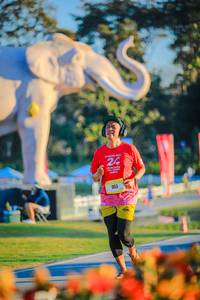 BIB: 
                            <button type="button" onclick="openModal(26183828)" class="btn btn-primary btn-sm float-right btn-popup" data-toggle="modal" data-target=".modal-high-quality">
                        <i class="fas fa-shopping-cart"></i> Add to Cart
                    </button>
                                            <button type="button" onclick="isThisMe(26183828, true)" class="btn btn-success btn-sm float-right btn-popup btn-isme hidden" data-toggle="tooltip" data-placement="bottom" title="นี่คือรูปของคุณใช่ไหม คลิกที่นี่เพื่อเอาเข้าอัลบั้ม">
                        <i class="fas fa-plus"></i> Add to album
                    </button>
                    <button type="button" onclick="isThisMe(26183828, false)" class="btn btn-warning btn-sm float-right btn-popup btn-isnotme hidden">
                        <i class="fas fa-ban"></i> Remove from album
                    </button>