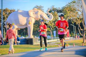 BIB: 
                            <button type="button" onclick="openModal(26183790)" class="btn btn-primary btn-sm float-right btn-popup" data-toggle="modal" data-target=".modal-high-quality">
                        <i class="fas fa-shopping-cart"></i> Add to Cart
                    </button>
                                            <button type="button" onclick="isThisMe(26183790, true)" class="btn btn-success btn-sm float-right btn-popup btn-isme hidden" data-toggle="tooltip" data-placement="bottom" title="นี่คือรูปของคุณใช่ไหม คลิกที่นี่เพื่อเอาเข้าอัลบั้ม">
                        <i class="fas fa-plus"></i> Add to album
                    </button>
                    <button type="button" onclick="isThisMe(26183790, false)" class="btn btn-warning btn-sm float-right btn-popup btn-isnotme hidden">
                        <i class="fas fa-ban"></i> Remove from album
                    </button>