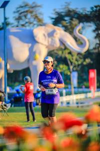 BIB: 
                            <button type="button" onclick="openModal(26183942)" class="btn btn-primary btn-sm float-right btn-popup" data-toggle="modal" data-target=".modal-high-quality">
                        <i class="fas fa-shopping-cart"></i> Add to Cart
                    </button>
                                            <button type="button" onclick="isThisMe(26183942, true)" class="btn btn-success btn-sm float-right btn-popup btn-isme hidden" data-toggle="tooltip" data-placement="bottom" title="นี่คือรูปของคุณใช่ไหม คลิกที่นี่เพื่อเอาเข้าอัลบั้ม">
                        <i class="fas fa-plus"></i> Add to album
                    </button>
                    <button type="button" onclick="isThisMe(26183942, false)" class="btn btn-warning btn-sm float-right btn-popup btn-isnotme hidden">
                        <i class="fas fa-ban"></i> Remove from album
                    </button>