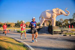 BIB: 
                            <button type="button" onclick="openModal(26186434)" class="btn btn-primary btn-sm float-right btn-popup" data-toggle="modal" data-target=".modal-high-quality">
                        <i class="fas fa-shopping-cart"></i> Add to Cart
                    </button>
                                            <button type="button" onclick="isThisMe(26186434, true)" class="btn btn-success btn-sm float-right btn-popup btn-isme hidden" data-toggle="tooltip" data-placement="bottom" title="นี่คือรูปของคุณใช่ไหม คลิกที่นี่เพื่อเอาเข้าอัลบั้ม">
                        <i class="fas fa-plus"></i> Add to album
                    </button>
                    <button type="button" onclick="isThisMe(26186434, false)" class="btn btn-warning btn-sm float-right btn-popup btn-isnotme hidden">
                        <i class="fas fa-ban"></i> Remove from album
                    </button>