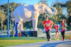 BIB: 
                            <button type="button" onclick="openModal(26183478)" class="btn btn-primary btn-sm float-right btn-popup" data-toggle="modal" data-target=".modal-high-quality">
                        <i class="fas fa-shopping-cart"></i> Add to Cart
                    </button>
                                            <button type="button" onclick="isThisMe(26183478, true)" class="btn btn-success btn-sm float-right btn-popup btn-isme hidden" data-toggle="tooltip" data-placement="bottom" title="นี่คือรูปของคุณใช่ไหม คลิกที่นี่เพื่อเอาเข้าอัลบั้ม">
                        <i class="fas fa-plus"></i> Add to album
                    </button>
                    <button type="button" onclick="isThisMe(26183478, false)" class="btn btn-warning btn-sm float-right btn-popup btn-isnotme hidden">
                        <i class="fas fa-ban"></i> Remove from album
                    </button>