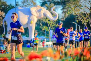 BIB: 
                            <button type="button" onclick="openModal(26184020)" class="btn btn-primary btn-sm float-right btn-popup" data-toggle="modal" data-target=".modal-high-quality">
                        <i class="fas fa-shopping-cart"></i> Add to Cart
                    </button>
                                            <button type="button" onclick="isThisMe(26184020, true)" class="btn btn-success btn-sm float-right btn-popup btn-isme hidden" data-toggle="tooltip" data-placement="bottom" title="นี่คือรูปของคุณใช่ไหม คลิกที่นี่เพื่อเอาเข้าอัลบั้ม">
                        <i class="fas fa-plus"></i> Add to album
                    </button>
                    <button type="button" onclick="isThisMe(26184020, false)" class="btn btn-warning btn-sm float-right btn-popup btn-isnotme hidden">
                        <i class="fas fa-ban"></i> Remove from album
                    </button>