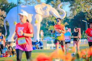 BIB: 
                            <button type="button" onclick="openModal(26183970)" class="btn btn-primary btn-sm float-right btn-popup" data-toggle="modal" data-target=".modal-high-quality">
                        <i class="fas fa-shopping-cart"></i> Add to Cart
                    </button>
                                            <button type="button" onclick="isThisMe(26183970, true)" class="btn btn-success btn-sm float-right btn-popup btn-isme hidden" data-toggle="tooltip" data-placement="bottom" title="นี่คือรูปของคุณใช่ไหม คลิกที่นี่เพื่อเอาเข้าอัลบั้ม">
                        <i class="fas fa-plus"></i> Add to album
                    </button>
                    <button type="button" onclick="isThisMe(26183970, false)" class="btn btn-warning btn-sm float-right btn-popup btn-isnotme hidden">
                        <i class="fas fa-ban"></i> Remove from album
                    </button>