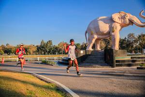 BIB: 
                            <button type="button" onclick="openModal(26186377)" class="btn btn-primary btn-sm float-right btn-popup" data-toggle="modal" data-target=".modal-high-quality">
                        <i class="fas fa-shopping-cart"></i> Add to Cart
                    </button>
                                            <button type="button" onclick="isThisMe(26186377, true)" class="btn btn-success btn-sm float-right btn-popup btn-isme hidden" data-toggle="tooltip" data-placement="bottom" title="นี่คือรูปของคุณใช่ไหม คลิกที่นี่เพื่อเอาเข้าอัลบั้ม">
                        <i class="fas fa-plus"></i> Add to album
                    </button>
                    <button type="button" onclick="isThisMe(26186377, false)" class="btn btn-warning btn-sm float-right btn-popup btn-isnotme hidden">
                        <i class="fas fa-ban"></i> Remove from album
                    </button>