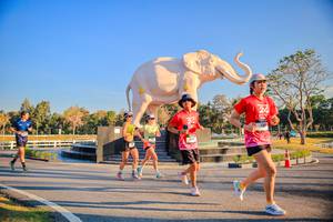 BIB: 
                            <button type="button" onclick="openModal(26186471)" class="btn btn-primary btn-sm float-right btn-popup" data-toggle="modal" data-target=".modal-high-quality">
                        <i class="fas fa-shopping-cart"></i> Add to Cart
                    </button>
                                            <button type="button" onclick="isThisMe(26186471, true)" class="btn btn-success btn-sm float-right btn-popup btn-isme hidden" data-toggle="tooltip" data-placement="bottom" title="นี่คือรูปของคุณใช่ไหม คลิกที่นี่เพื่อเอาเข้าอัลบั้ม">
                        <i class="fas fa-plus"></i> Add to album
                    </button>
                    <button type="button" onclick="isThisMe(26186471, false)" class="btn btn-warning btn-sm float-right btn-popup btn-isnotme hidden">
                        <i class="fas fa-ban"></i> Remove from album
                    </button>