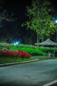 BIB: 
                            <button type="button" onclick="openModal(26186708)" class="btn btn-primary btn-sm float-right btn-popup" data-toggle="modal" data-target=".modal-high-quality">
                        <i class="fas fa-shopping-cart"></i> Add to Cart
                    </button>
                                            <button type="button" onclick="isThisMe(26186708, true)" class="btn btn-success btn-sm float-right btn-popup btn-isme hidden" data-toggle="tooltip" data-placement="bottom" title="นี่คือรูปของคุณใช่ไหม คลิกที่นี่เพื่อเอาเข้าอัลบั้ม">
                        <i class="fas fa-plus"></i> Add to album
                    </button>
                    <button type="button" onclick="isThisMe(26186708, false)" class="btn btn-warning btn-sm float-right btn-popup btn-isnotme hidden">
                        <i class="fas fa-ban"></i> Remove from album
                    </button>