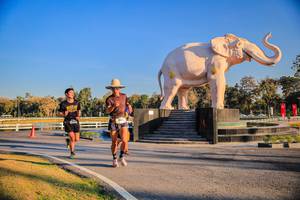 BIB: 
                            <button type="button" onclick="openModal(26186403)" class="btn btn-primary btn-sm float-right btn-popup" data-toggle="modal" data-target=".modal-high-quality">
                        <i class="fas fa-shopping-cart"></i> Add to Cart
                    </button>
                                            <button type="button" onclick="isThisMe(26186403, true)" class="btn btn-success btn-sm float-right btn-popup btn-isme hidden" data-toggle="tooltip" data-placement="bottom" title="นี่คือรูปของคุณใช่ไหม คลิกที่นี่เพื่อเอาเข้าอัลบั้ม">
                        <i class="fas fa-plus"></i> Add to album
                    </button>
                    <button type="button" onclick="isThisMe(26186403, false)" class="btn btn-warning btn-sm float-right btn-popup btn-isnotme hidden">
                        <i class="fas fa-ban"></i> Remove from album
                    </button>