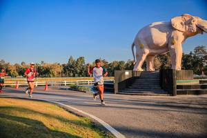 BIB: 
                            <button type="button" onclick="openModal(26186374)" class="btn btn-primary btn-sm float-right btn-popup" data-toggle="modal" data-target=".modal-high-quality">
                        <i class="fas fa-shopping-cart"></i> Add to Cart
                    </button>
                                            <button type="button" onclick="isThisMe(26186374, true)" class="btn btn-success btn-sm float-right btn-popup btn-isme hidden" data-toggle="tooltip" data-placement="bottom" title="นี่คือรูปของคุณใช่ไหม คลิกที่นี่เพื่อเอาเข้าอัลบั้ม">
                        <i class="fas fa-plus"></i> Add to album
                    </button>
                    <button type="button" onclick="isThisMe(26186374, false)" class="btn btn-warning btn-sm float-right btn-popup btn-isnotme hidden">
                        <i class="fas fa-ban"></i> Remove from album
                    </button>