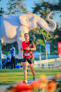 BIB: 
                            <button type="button" onclick="openModal(26183899)" class="btn btn-primary btn-sm float-right btn-popup" data-toggle="modal" data-target=".modal-high-quality">
                        <i class="fas fa-shopping-cart"></i> Add to Cart
                    </button>
                                            <button type="button" onclick="isThisMe(26183899, true)" class="btn btn-success btn-sm float-right btn-popup btn-isme hidden" data-toggle="tooltip" data-placement="bottom" title="นี่คือรูปของคุณใช่ไหม คลิกที่นี่เพื่อเอาเข้าอัลบั้ม">
                        <i class="fas fa-plus"></i> Add to album
                    </button>
                    <button type="button" onclick="isThisMe(26183899, false)" class="btn btn-warning btn-sm float-right btn-popup btn-isnotme hidden">
                        <i class="fas fa-ban"></i> Remove from album
                    </button>