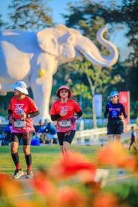 BIB: 
                            <button type="button" onclick="openModal(26183948)" class="btn btn-primary btn-sm float-right btn-popup" data-toggle="modal" data-target=".modal-high-quality">
                        <i class="fas fa-shopping-cart"></i> Add to Cart
                    </button>
                                            <button type="button" onclick="isThisMe(26183948, true)" class="btn btn-success btn-sm float-right btn-popup btn-isme hidden" data-toggle="tooltip" data-placement="bottom" title="นี่คือรูปของคุณใช่ไหม คลิกที่นี่เพื่อเอาเข้าอัลบั้ม">
                        <i class="fas fa-plus"></i> Add to album
                    </button>
                    <button type="button" onclick="isThisMe(26183948, false)" class="btn btn-warning btn-sm float-right btn-popup btn-isnotme hidden">
                        <i class="fas fa-ban"></i> Remove from album
                    </button>