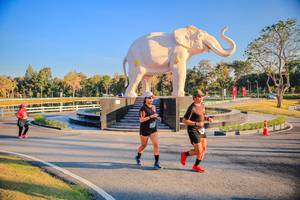 BIB: 
                            <button type="button" onclick="openModal(26186579)" class="btn btn-primary btn-sm float-right btn-popup" data-toggle="modal" data-target=".modal-high-quality">
                        <i class="fas fa-shopping-cart"></i> Add to Cart
                    </button>
                                            <button type="button" onclick="isThisMe(26186579, true)" class="btn btn-success btn-sm float-right btn-popup btn-isme hidden" data-toggle="tooltip" data-placement="bottom" title="นี่คือรูปของคุณใช่ไหม คลิกที่นี่เพื่อเอาเข้าอัลบั้ม">
                        <i class="fas fa-plus"></i> Add to album
                    </button>
                    <button type="button" onclick="isThisMe(26186579, false)" class="btn btn-warning btn-sm float-right btn-popup btn-isnotme hidden">
                        <i class="fas fa-ban"></i> Remove from album
                    </button>