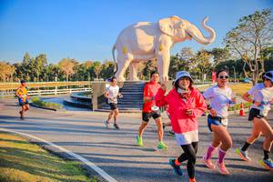 BIB: 
                            <button type="button" onclick="openModal(26186571)" class="btn btn-primary btn-sm float-right btn-popup" data-toggle="modal" data-target=".modal-high-quality">
                        <i class="fas fa-shopping-cart"></i> Add to Cart
                    </button>
                                            <button type="button" onclick="isThisMe(26186571, true)" class="btn btn-success btn-sm float-right btn-popup btn-isme hidden" data-toggle="tooltip" data-placement="bottom" title="นี่คือรูปของคุณใช่ไหม คลิกที่นี่เพื่อเอาเข้าอัลบั้ม">
                        <i class="fas fa-plus"></i> Add to album
                    </button>
                    <button type="button" onclick="isThisMe(26186571, false)" class="btn btn-warning btn-sm float-right btn-popup btn-isnotme hidden">
                        <i class="fas fa-ban"></i> Remove from album
                    </button>