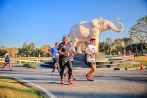 BIB: 
                            <button type="button" onclick="openModal(26186463)" class="btn btn-primary btn-sm float-right btn-popup" data-toggle="modal" data-target=".modal-high-quality">
                        <i class="fas fa-shopping-cart"></i> Add to Cart
                    </button>
                                            <button type="button" onclick="isThisMe(26186463, true)" class="btn btn-success btn-sm float-right btn-popup btn-isme hidden" data-toggle="tooltip" data-placement="bottom" title="นี่คือรูปของคุณใช่ไหม คลิกที่นี่เพื่อเอาเข้าอัลบั้ม">
                        <i class="fas fa-plus"></i> Add to album
                    </button>
                    <button type="button" onclick="isThisMe(26186463, false)" class="btn btn-warning btn-sm float-right btn-popup btn-isnotme hidden">
                        <i class="fas fa-ban"></i> Remove from album
                    </button>