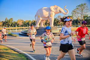 BIB: 
                            <button type="button" onclick="openModal(26186541)" class="btn btn-primary btn-sm float-right btn-popup" data-toggle="modal" data-target=".modal-high-quality">
                        <i class="fas fa-shopping-cart"></i> Add to Cart
                    </button>
                                            <button type="button" onclick="isThisMe(26186541, true)" class="btn btn-success btn-sm float-right btn-popup btn-isme hidden" data-toggle="tooltip" data-placement="bottom" title="นี่คือรูปของคุณใช่ไหม คลิกที่นี่เพื่อเอาเข้าอัลบั้ม">
                        <i class="fas fa-plus"></i> Add to album
                    </button>
                    <button type="button" onclick="isThisMe(26186541, false)" class="btn btn-warning btn-sm float-right btn-popup btn-isnotme hidden">
                        <i class="fas fa-ban"></i> Remove from album
                    </button>