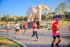 BIB: 
                            <button type="button" onclick="openModal(26186535)" class="btn btn-primary btn-sm float-right btn-popup" data-toggle="modal" data-target=".modal-high-quality">
                        <i class="fas fa-shopping-cart"></i> Add to Cart
                    </button>
                                            <button type="button" onclick="isThisMe(26186535, true)" class="btn btn-success btn-sm float-right btn-popup btn-isme hidden" data-toggle="tooltip" data-placement="bottom" title="นี่คือรูปของคุณใช่ไหม คลิกที่นี่เพื่อเอาเข้าอัลบั้ม">
                        <i class="fas fa-plus"></i> Add to album
                    </button>
                    <button type="button" onclick="isThisMe(26186535, false)" class="btn btn-warning btn-sm float-right btn-popup btn-isnotme hidden">
                        <i class="fas fa-ban"></i> Remove from album
                    </button>