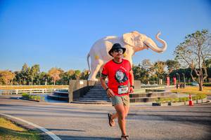 BIB: 
                            <button type="button" onclick="openModal(26186457)" class="btn btn-primary btn-sm float-right btn-popup" data-toggle="modal" data-target=".modal-high-quality">
                        <i class="fas fa-shopping-cart"></i> Add to Cart
                    </button>
                                            <button type="button" onclick="isThisMe(26186457, true)" class="btn btn-success btn-sm float-right btn-popup btn-isme hidden" data-toggle="tooltip" data-placement="bottom" title="นี่คือรูปของคุณใช่ไหม คลิกที่นี่เพื่อเอาเข้าอัลบั้ม">
                        <i class="fas fa-plus"></i> Add to album
                    </button>
                    <button type="button" onclick="isThisMe(26186457, false)" class="btn btn-warning btn-sm float-right btn-popup btn-isnotme hidden">
                        <i class="fas fa-ban"></i> Remove from album
                    </button>