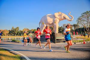 BIB: 
                            <button type="button" onclick="openModal(26186466)" class="btn btn-primary btn-sm float-right btn-popup" data-toggle="modal" data-target=".modal-high-quality">
                        <i class="fas fa-shopping-cart"></i> Add to Cart
                    </button>
                                            <button type="button" onclick="isThisMe(26186466, true)" class="btn btn-success btn-sm float-right btn-popup btn-isme hidden" data-toggle="tooltip" data-placement="bottom" title="นี่คือรูปของคุณใช่ไหม คลิกที่นี่เพื่อเอาเข้าอัลบั้ม">
                        <i class="fas fa-plus"></i> Add to album
                    </button>
                    <button type="button" onclick="isThisMe(26186466, false)" class="btn btn-warning btn-sm float-right btn-popup btn-isnotme hidden">
                        <i class="fas fa-ban"></i> Remove from album
                    </button>