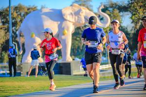 BIB: 
                            <button type="button" onclick="openModal(26183619)" class="btn btn-primary btn-sm float-right btn-popup" data-toggle="modal" data-target=".modal-high-quality">
                        <i class="fas fa-shopping-cart"></i> Add to Cart
                    </button>
                                            <button type="button" onclick="isThisMe(26183619, true)" class="btn btn-success btn-sm float-right btn-popup btn-isme hidden" data-toggle="tooltip" data-placement="bottom" title="นี่คือรูปของคุณใช่ไหม คลิกที่นี่เพื่อเอาเข้าอัลบั้ม">
                        <i class="fas fa-plus"></i> Add to album
                    </button>
                    <button type="button" onclick="isThisMe(26183619, false)" class="btn btn-warning btn-sm float-right btn-popup btn-isnotme hidden">
                        <i class="fas fa-ban"></i> Remove from album
                    </button>