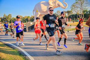 BIB: 
                            <button type="button" onclick="openModal(26186503)" class="btn btn-primary btn-sm float-right btn-popup" data-toggle="modal" data-target=".modal-high-quality">
                        <i class="fas fa-shopping-cart"></i> Add to Cart
                    </button>
                                            <button type="button" onclick="isThisMe(26186503, true)" class="btn btn-success btn-sm float-right btn-popup btn-isme hidden" data-toggle="tooltip" data-placement="bottom" title="นี่คือรูปของคุณใช่ไหม คลิกที่นี่เพื่อเอาเข้าอัลบั้ม">
                        <i class="fas fa-plus"></i> Add to album
                    </button>
                    <button type="button" onclick="isThisMe(26186503, false)" class="btn btn-warning btn-sm float-right btn-popup btn-isnotme hidden">
                        <i class="fas fa-ban"></i> Remove from album
                    </button>