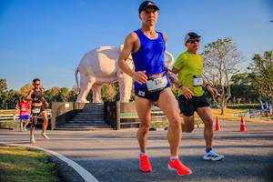 BIB: 
                            <button type="button" onclick="openModal(26186350)" class="btn btn-primary btn-sm float-right btn-popup" data-toggle="modal" data-target=".modal-high-quality">
                        <i class="fas fa-shopping-cart"></i> Add to Cart
                    </button>
                                            <button type="button" onclick="isThisMe(26186350, true)" class="btn btn-success btn-sm float-right btn-popup btn-isme hidden" data-toggle="tooltip" data-placement="bottom" title="นี่คือรูปของคุณใช่ไหม คลิกที่นี่เพื่อเอาเข้าอัลบั้ม">
                        <i class="fas fa-plus"></i> Add to album
                    </button>
                    <button type="button" onclick="isThisMe(26186350, false)" class="btn btn-warning btn-sm float-right btn-popup btn-isnotme hidden">
                        <i class="fas fa-ban"></i> Remove from album
                    </button>