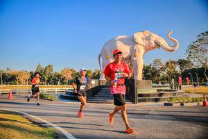 BIB: 
                            <button type="button" onclick="openModal(26186444)" class="btn btn-primary btn-sm float-right btn-popup" data-toggle="modal" data-target=".modal-high-quality">
                        <i class="fas fa-shopping-cart"></i> Add to Cart
                    </button>
                                            <button type="button" onclick="isThisMe(26186444, true)" class="btn btn-success btn-sm float-right btn-popup btn-isme hidden" data-toggle="tooltip" data-placement="bottom" title="นี่คือรูปของคุณใช่ไหม คลิกที่นี่เพื่อเอาเข้าอัลบั้ม">
                        <i class="fas fa-plus"></i> Add to album
                    </button>
                    <button type="button" onclick="isThisMe(26186444, false)" class="btn btn-warning btn-sm float-right btn-popup btn-isnotme hidden">
                        <i class="fas fa-ban"></i> Remove from album
                    </button>