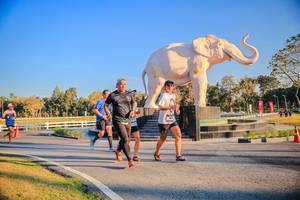 BIB: 
                            <button type="button" onclick="openModal(26186462)" class="btn btn-primary btn-sm float-right btn-popup" data-toggle="modal" data-target=".modal-high-quality">
                        <i class="fas fa-shopping-cart"></i> Add to Cart
                    </button>
                                            <button type="button" onclick="isThisMe(26186462, true)" class="btn btn-success btn-sm float-right btn-popup btn-isme hidden" data-toggle="tooltip" data-placement="bottom" title="นี่คือรูปของคุณใช่ไหม คลิกที่นี่เพื่อเอาเข้าอัลบั้ม">
                        <i class="fas fa-plus"></i> Add to album
                    </button>
                    <button type="button" onclick="isThisMe(26186462, false)" class="btn btn-warning btn-sm float-right btn-popup btn-isnotme hidden">
                        <i class="fas fa-ban"></i> Remove from album
                    </button>