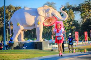 BIB: 
                            <button type="button" onclick="openModal(26183724)" class="btn btn-primary btn-sm float-right btn-popup" data-toggle="modal" data-target=".modal-high-quality">
                        <i class="fas fa-shopping-cart"></i> Add to Cart
                    </button>
                                            <button type="button" onclick="isThisMe(26183724, true)" class="btn btn-success btn-sm float-right btn-popup btn-isme hidden" data-toggle="tooltip" data-placement="bottom" title="นี่คือรูปของคุณใช่ไหม คลิกที่นี่เพื่อเอาเข้าอัลบั้ม">
                        <i class="fas fa-plus"></i> Add to album
                    </button>
                    <button type="button" onclick="isThisMe(26183724, false)" class="btn btn-warning btn-sm float-right btn-popup btn-isnotme hidden">
                        <i class="fas fa-ban"></i> Remove from album
                    </button>