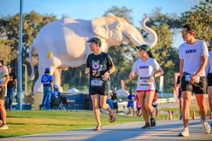 BIB: 
                            <button type="button" onclick="openModal(26183658)" class="btn btn-primary btn-sm float-right btn-popup" data-toggle="modal" data-target=".modal-high-quality">
                        <i class="fas fa-shopping-cart"></i> Add to Cart
                    </button>
                                            <button type="button" onclick="isThisMe(26183658, true)" class="btn btn-success btn-sm float-right btn-popup btn-isme hidden" data-toggle="tooltip" data-placement="bottom" title="นี่คือรูปของคุณใช่ไหม คลิกที่นี่เพื่อเอาเข้าอัลบั้ม">
                        <i class="fas fa-plus"></i> Add to album
                    </button>
                    <button type="button" onclick="isThisMe(26183658, false)" class="btn btn-warning btn-sm float-right btn-popup btn-isnotme hidden">
                        <i class="fas fa-ban"></i> Remove from album
                    </button>