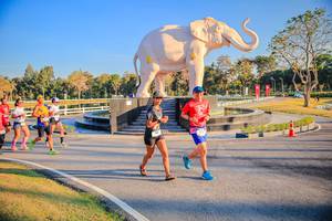 BIB: 
                            <button type="button" onclick="openModal(26186562)" class="btn btn-primary btn-sm float-right btn-popup" data-toggle="modal" data-target=".modal-high-quality">
                        <i class="fas fa-shopping-cart"></i> Add to Cart
                    </button>
                                            <button type="button" onclick="isThisMe(26186562, true)" class="btn btn-success btn-sm float-right btn-popup btn-isme hidden" data-toggle="tooltip" data-placement="bottom" title="นี่คือรูปของคุณใช่ไหม คลิกที่นี่เพื่อเอาเข้าอัลบั้ม">
                        <i class="fas fa-plus"></i> Add to album
                    </button>
                    <button type="button" onclick="isThisMe(26186562, false)" class="btn btn-warning btn-sm float-right btn-popup btn-isnotme hidden">
                        <i class="fas fa-ban"></i> Remove from album
                    </button>