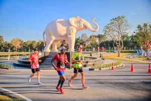 BIB: 
                            <button type="button" onclick="openModal(26186618)" class="btn btn-primary btn-sm float-right btn-popup" data-toggle="modal" data-target=".modal-high-quality">
                        <i class="fas fa-shopping-cart"></i> Add to Cart
                    </button>
                                            <button type="button" onclick="isThisMe(26186618, true)" class="btn btn-success btn-sm float-right btn-popup btn-isme hidden" data-toggle="tooltip" data-placement="bottom" title="นี่คือรูปของคุณใช่ไหม คลิกที่นี่เพื่อเอาเข้าอัลบั้ม">
                        <i class="fas fa-plus"></i> Add to album
                    </button>
                    <button type="button" onclick="isThisMe(26186618, false)" class="btn btn-warning btn-sm float-right btn-popup btn-isnotme hidden">
                        <i class="fas fa-ban"></i> Remove from album
                    </button>