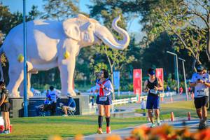 BIB: 
                            <button type="button" onclick="openModal(26183792)" class="btn btn-primary btn-sm float-right btn-popup" data-toggle="modal" data-target=".modal-high-quality">
                        <i class="fas fa-shopping-cart"></i> Add to Cart
                    </button>
                                            <button type="button" onclick="isThisMe(26183792, true)" class="btn btn-success btn-sm float-right btn-popup btn-isme hidden" data-toggle="tooltip" data-placement="bottom" title="นี่คือรูปของคุณใช่ไหม คลิกที่นี่เพื่อเอาเข้าอัลบั้ม">
                        <i class="fas fa-plus"></i> Add to album
                    </button>
                    <button type="button" onclick="isThisMe(26183792, false)" class="btn btn-warning btn-sm float-right btn-popup btn-isnotme hidden">
                        <i class="fas fa-ban"></i> Remove from album
                    </button>