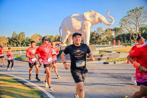 BIB: 
                            <button type="button" onclick="openModal(26186531)" class="btn btn-primary btn-sm float-right btn-popup" data-toggle="modal" data-target=".modal-high-quality">
                        <i class="fas fa-shopping-cart"></i> Add to Cart
                    </button>
                                            <button type="button" onclick="isThisMe(26186531, true)" class="btn btn-success btn-sm float-right btn-popup btn-isme hidden" data-toggle="tooltip" data-placement="bottom" title="นี่คือรูปของคุณใช่ไหม คลิกที่นี่เพื่อเอาเข้าอัลบั้ม">
                        <i class="fas fa-plus"></i> Add to album
                    </button>
                    <button type="button" onclick="isThisMe(26186531, false)" class="btn btn-warning btn-sm float-right btn-popup btn-isnotme hidden">
                        <i class="fas fa-ban"></i> Remove from album
                    </button>