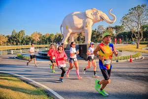 BIB: 
                            <button type="button" onclick="openModal(26186567)" class="btn btn-primary btn-sm float-right btn-popup" data-toggle="modal" data-target=".modal-high-quality">
                        <i class="fas fa-shopping-cart"></i> Add to Cart
                    </button>
                                            <button type="button" onclick="isThisMe(26186567, true)" class="btn btn-success btn-sm float-right btn-popup btn-isme hidden" data-toggle="tooltip" data-placement="bottom" title="นี่คือรูปของคุณใช่ไหม คลิกที่นี่เพื่อเอาเข้าอัลบั้ม">
                        <i class="fas fa-plus"></i> Add to album
                    </button>
                    <button type="button" onclick="isThisMe(26186567, false)" class="btn btn-warning btn-sm float-right btn-popup btn-isnotme hidden">
                        <i class="fas fa-ban"></i> Remove from album
                    </button>