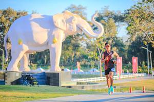 BIB: 
                            <button type="button" onclick="openModal(26183419)" class="btn btn-primary btn-sm float-right btn-popup" data-toggle="modal" data-target=".modal-high-quality">
                        <i class="fas fa-shopping-cart"></i> Add to Cart
                    </button>
                                            <button type="button" onclick="isThisMe(26183419, true)" class="btn btn-success btn-sm float-right btn-popup btn-isme hidden" data-toggle="tooltip" data-placement="bottom" title="นี่คือรูปของคุณใช่ไหม คลิกที่นี่เพื่อเอาเข้าอัลบั้ม">
                        <i class="fas fa-plus"></i> Add to album
                    </button>
                    <button type="button" onclick="isThisMe(26183419, false)" class="btn btn-warning btn-sm float-right btn-popup btn-isnotme hidden">
                        <i class="fas fa-ban"></i> Remove from album
                    </button>