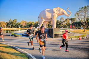 BIB: 
                            <button type="button" onclick="openModal(26186584)" class="btn btn-primary btn-sm float-right btn-popup" data-toggle="modal" data-target=".modal-high-quality">
                        <i class="fas fa-shopping-cart"></i> Add to Cart
                    </button>
                                            <button type="button" onclick="isThisMe(26186584, true)" class="btn btn-success btn-sm float-right btn-popup btn-isme hidden" data-toggle="tooltip" data-placement="bottom" title="นี่คือรูปของคุณใช่ไหม คลิกที่นี่เพื่อเอาเข้าอัลบั้ม">
                        <i class="fas fa-plus"></i> Add to album
                    </button>
                    <button type="button" onclick="isThisMe(26186584, false)" class="btn btn-warning btn-sm float-right btn-popup btn-isnotme hidden">
                        <i class="fas fa-ban"></i> Remove from album
                    </button>