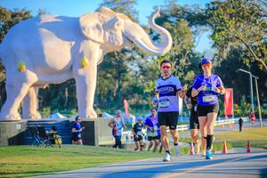 BIB: 
                            <button type="button" onclick="openModal(26183604)" class="btn btn-primary btn-sm float-right btn-popup" data-toggle="modal" data-target=".modal-high-quality">
                        <i class="fas fa-shopping-cart"></i> Add to Cart
                    </button>
                                            <button type="button" onclick="isThisMe(26183604, true)" class="btn btn-success btn-sm float-right btn-popup btn-isme hidden" data-toggle="tooltip" data-placement="bottom" title="นี่คือรูปของคุณใช่ไหม คลิกที่นี่เพื่อเอาเข้าอัลบั้ม">
                        <i class="fas fa-plus"></i> Add to album
                    </button>
                    <button type="button" onclick="isThisMe(26183604, false)" class="btn btn-warning btn-sm float-right btn-popup btn-isnotme hidden">
                        <i class="fas fa-ban"></i> Remove from album
                    </button>