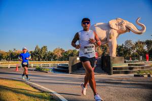 BIB: 
                            <button type="button" onclick="openModal(26186361)" class="btn btn-primary btn-sm float-right btn-popup" data-toggle="modal" data-target=".modal-high-quality">
                        <i class="fas fa-shopping-cart"></i> Add to Cart
                    </button>
                                            <button type="button" onclick="isThisMe(26186361, true)" class="btn btn-success btn-sm float-right btn-popup btn-isme hidden" data-toggle="tooltip" data-placement="bottom" title="นี่คือรูปของคุณใช่ไหม คลิกที่นี่เพื่อเอาเข้าอัลบั้ม">
                        <i class="fas fa-plus"></i> Add to album
                    </button>
                    <button type="button" onclick="isThisMe(26186361, false)" class="btn btn-warning btn-sm float-right btn-popup btn-isnotme hidden">
                        <i class="fas fa-ban"></i> Remove from album
                    </button>