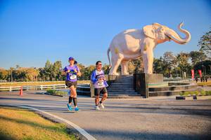 BIB: 
                            <button type="button" onclick="openModal(26186449)" class="btn btn-primary btn-sm float-right btn-popup" data-toggle="modal" data-target=".modal-high-quality">
                        <i class="fas fa-shopping-cart"></i> Add to Cart
                    </button>
                                            <button type="button" onclick="isThisMe(26186449, true)" class="btn btn-success btn-sm float-right btn-popup btn-isme hidden" data-toggle="tooltip" data-placement="bottom" title="นี่คือรูปของคุณใช่ไหม คลิกที่นี่เพื่อเอาเข้าอัลบั้ม">
                        <i class="fas fa-plus"></i> Add to album
                    </button>
                    <button type="button" onclick="isThisMe(26186449, false)" class="btn btn-warning btn-sm float-right btn-popup btn-isnotme hidden">
                        <i class="fas fa-ban"></i> Remove from album
                    </button>