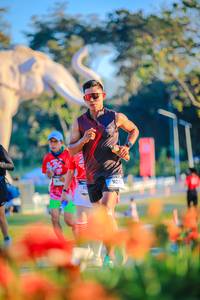 BIB: 
                            <button type="button" onclick="openModal(26183949)" class="btn btn-primary btn-sm float-right btn-popup" data-toggle="modal" data-target=".modal-high-quality">
                        <i class="fas fa-shopping-cart"></i> Add to Cart
                    </button>
                                            <button type="button" onclick="isThisMe(26183949, true)" class="btn btn-success btn-sm float-right btn-popup btn-isme hidden" data-toggle="tooltip" data-placement="bottom" title="นี่คือรูปของคุณใช่ไหม คลิกที่นี่เพื่อเอาเข้าอัลบั้ม">
                        <i class="fas fa-plus"></i> Add to album
                    </button>
                    <button type="button" onclick="isThisMe(26183949, false)" class="btn btn-warning btn-sm float-right btn-popup btn-isnotme hidden">
                        <i class="fas fa-ban"></i> Remove from album
                    </button>