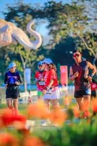 BIB: 
                            <button type="button" onclick="openModal(26183947)" class="btn btn-primary btn-sm float-right btn-popup" data-toggle="modal" data-target=".modal-high-quality">
                        <i class="fas fa-shopping-cart"></i> Add to Cart
                    </button>
                                            <button type="button" onclick="isThisMe(26183947, true)" class="btn btn-success btn-sm float-right btn-popup btn-isme hidden" data-toggle="tooltip" data-placement="bottom" title="นี่คือรูปของคุณใช่ไหม คลิกที่นี่เพื่อเอาเข้าอัลบั้ม">
                        <i class="fas fa-plus"></i> Add to album
                    </button>
                    <button type="button" onclick="isThisMe(26183947, false)" class="btn btn-warning btn-sm float-right btn-popup btn-isnotme hidden">
                        <i class="fas fa-ban"></i> Remove from album
                    </button>