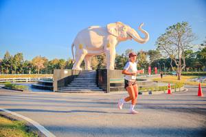 BIB: 
                            <button type="button" onclick="openModal(26186489)" class="btn btn-primary btn-sm float-right btn-popup" data-toggle="modal" data-target=".modal-high-quality">
                        <i class="fas fa-shopping-cart"></i> Add to Cart
                    </button>
                                            <button type="button" onclick="isThisMe(26186489, true)" class="btn btn-success btn-sm float-right btn-popup btn-isme hidden" data-toggle="tooltip" data-placement="bottom" title="นี่คือรูปของคุณใช่ไหม คลิกที่นี่เพื่อเอาเข้าอัลบั้ม">
                        <i class="fas fa-plus"></i> Add to album
                    </button>
                    <button type="button" onclick="isThisMe(26186489, false)" class="btn btn-warning btn-sm float-right btn-popup btn-isnotme hidden">
                        <i class="fas fa-ban"></i> Remove from album
                    </button>