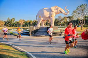 BIB: 
                            <button type="button" onclick="openModal(26186570)" class="btn btn-primary btn-sm float-right btn-popup" data-toggle="modal" data-target=".modal-high-quality">
                        <i class="fas fa-shopping-cart"></i> Add to Cart
                    </button>
                                            <button type="button" onclick="isThisMe(26186570, true)" class="btn btn-success btn-sm float-right btn-popup btn-isme hidden" data-toggle="tooltip" data-placement="bottom" title="นี่คือรูปของคุณใช่ไหม คลิกที่นี่เพื่อเอาเข้าอัลบั้ม">
                        <i class="fas fa-plus"></i> Add to album
                    </button>
                    <button type="button" onclick="isThisMe(26186570, false)" class="btn btn-warning btn-sm float-right btn-popup btn-isnotme hidden">
                        <i class="fas fa-ban"></i> Remove from album
                    </button>