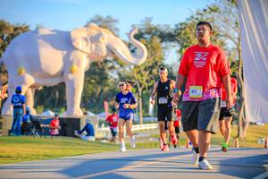 BIB: 
                            <button type="button" onclick="openModal(26183663)" class="btn btn-primary btn-sm float-right btn-popup" data-toggle="modal" data-target=".modal-high-quality">
                        <i class="fas fa-shopping-cart"></i> Add to Cart
                    </button>
                                            <button type="button" onclick="isThisMe(26183663, true)" class="btn btn-success btn-sm float-right btn-popup btn-isme hidden" data-toggle="tooltip" data-placement="bottom" title="นี่คือรูปของคุณใช่ไหม คลิกที่นี่เพื่อเอาเข้าอัลบั้ม">
                        <i class="fas fa-plus"></i> Add to album
                    </button>
                    <button type="button" onclick="isThisMe(26183663, false)" class="btn btn-warning btn-sm float-right btn-popup btn-isnotme hidden">
                        <i class="fas fa-ban"></i> Remove from album
                    </button>