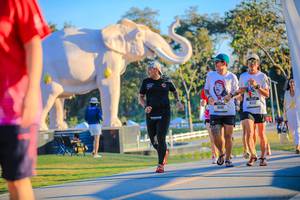 BIB: 
                            <button type="button" onclick="openModal(26183623)" class="btn btn-primary btn-sm float-right btn-popup" data-toggle="modal" data-target=".modal-high-quality">
                        <i class="fas fa-shopping-cart"></i> Add to Cart
                    </button>
                                            <button type="button" onclick="isThisMe(26183623, true)" class="btn btn-success btn-sm float-right btn-popup btn-isme hidden" data-toggle="tooltip" data-placement="bottom" title="นี่คือรูปของคุณใช่ไหม คลิกที่นี่เพื่อเอาเข้าอัลบั้ม">
                        <i class="fas fa-plus"></i> Add to album
                    </button>
                    <button type="button" onclick="isThisMe(26183623, false)" class="btn btn-warning btn-sm float-right btn-popup btn-isnotme hidden">
                        <i class="fas fa-ban"></i> Remove from album
                    </button>