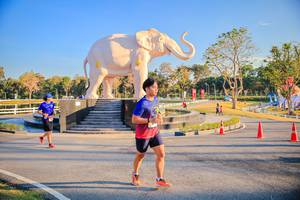 BIB: 
                            <button type="button" onclick="openModal(26186615)" class="btn btn-primary btn-sm float-right btn-popup" data-toggle="modal" data-target=".modal-high-quality">
                        <i class="fas fa-shopping-cart"></i> Add to Cart
                    </button>
                                            <button type="button" onclick="isThisMe(26186615, true)" class="btn btn-success btn-sm float-right btn-popup btn-isme hidden" data-toggle="tooltip" data-placement="bottom" title="นี่คือรูปของคุณใช่ไหม คลิกที่นี่เพื่อเอาเข้าอัลบั้ม">
                        <i class="fas fa-plus"></i> Add to album
                    </button>
                    <button type="button" onclick="isThisMe(26186615, false)" class="btn btn-warning btn-sm float-right btn-popup btn-isnotme hidden">
                        <i class="fas fa-ban"></i> Remove from album
                    </button>