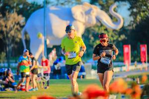 BIB: 
                            <button type="button" onclick="openModal(26184001)" class="btn btn-primary btn-sm float-right btn-popup" data-toggle="modal" data-target=".modal-high-quality">
                        <i class="fas fa-shopping-cart"></i> Add to Cart
                    </button>
                                            <button type="button" onclick="isThisMe(26184001, true)" class="btn btn-success btn-sm float-right btn-popup btn-isme hidden" data-toggle="tooltip" data-placement="bottom" title="นี่คือรูปของคุณใช่ไหม คลิกที่นี่เพื่อเอาเข้าอัลบั้ม">
                        <i class="fas fa-plus"></i> Add to album
                    </button>
                    <button type="button" onclick="isThisMe(26184001, false)" class="btn btn-warning btn-sm float-right btn-popup btn-isnotme hidden">
                        <i class="fas fa-ban"></i> Remove from album
                    </button>