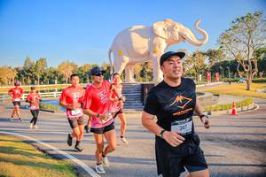 BIB: 
                            <button type="button" onclick="openModal(26186530)" class="btn btn-primary btn-sm float-right btn-popup" data-toggle="modal" data-target=".modal-high-quality">
                        <i class="fas fa-shopping-cart"></i> Add to Cart
                    </button>
                                            <button type="button" onclick="isThisMe(26186530, true)" class="btn btn-success btn-sm float-right btn-popup btn-isme hidden" data-toggle="tooltip" data-placement="bottom" title="นี่คือรูปของคุณใช่ไหม คลิกที่นี่เพื่อเอาเข้าอัลบั้ม">
                        <i class="fas fa-plus"></i> Add to album
                    </button>
                    <button type="button" onclick="isThisMe(26186530, false)" class="btn btn-warning btn-sm float-right btn-popup btn-isnotme hidden">
                        <i class="fas fa-ban"></i> Remove from album
                    </button>