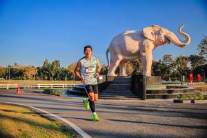 BIB: 
                            <button type="button" onclick="openModal(26186391)" class="btn btn-primary btn-sm float-right btn-popup" data-toggle="modal" data-target=".modal-high-quality">
                        <i class="fas fa-shopping-cart"></i> Add to Cart
                    </button>
                                            <button type="button" onclick="isThisMe(26186391, true)" class="btn btn-success btn-sm float-right btn-popup btn-isme hidden" data-toggle="tooltip" data-placement="bottom" title="นี่คือรูปของคุณใช่ไหม คลิกที่นี่เพื่อเอาเข้าอัลบั้ม">
                        <i class="fas fa-plus"></i> Add to album
                    </button>
                    <button type="button" onclick="isThisMe(26186391, false)" class="btn btn-warning btn-sm float-right btn-popup btn-isnotme hidden">
                        <i class="fas fa-ban"></i> Remove from album
                    </button>