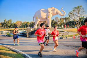 BIB: 
                            <button type="button" onclick="openModal(26186645)" class="btn btn-primary btn-sm float-right btn-popup" data-toggle="modal" data-target=".modal-high-quality">
                        <i class="fas fa-shopping-cart"></i> Add to Cart
                    </button>
                                            <button type="button" onclick="isThisMe(26186645, true)" class="btn btn-success btn-sm float-right btn-popup btn-isme hidden" data-toggle="tooltip" data-placement="bottom" title="นี่คือรูปของคุณใช่ไหม คลิกที่นี่เพื่อเอาเข้าอัลบั้ม">
                        <i class="fas fa-plus"></i> Add to album
                    </button>
                    <button type="button" onclick="isThisMe(26186645, false)" class="btn btn-warning btn-sm float-right btn-popup btn-isnotme hidden">
                        <i class="fas fa-ban"></i> Remove from album
                    </button>